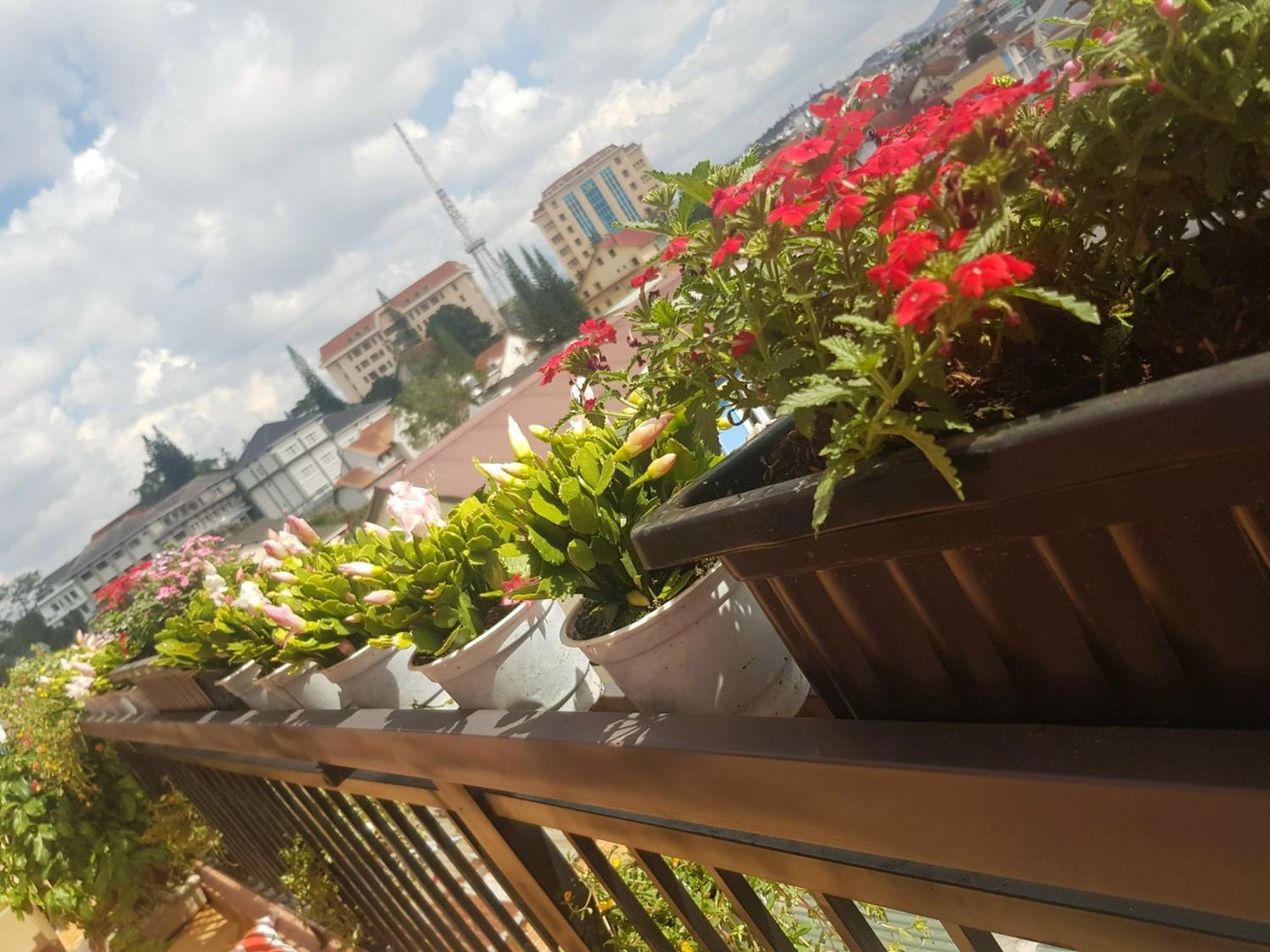 Ngoc Tran Hotel ดาลัด ภายนอก รูปภาพ